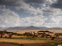 Bale Mountains, Ethiopia