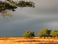 Storm over Wapse