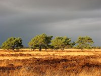 Storm over Wapse