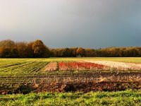 Storm over Wapse