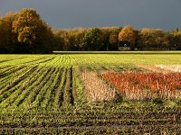 Storm over Wapse