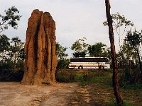 Termite Hill