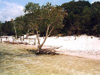 Fraser Island