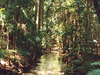 Fraser Island