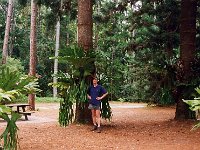 Fraser Island