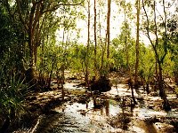 Kakadu N.P.