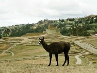 Cuenca