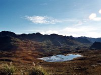 Cajas N.P.