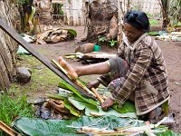 Scraping False Banana