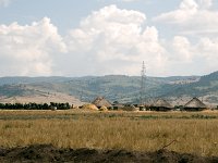 Road between Shashemene and Dinsho