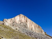 Organ Pipes