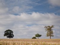 Plancoet - St. Case le Guildo