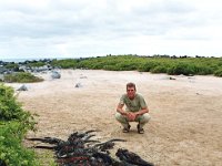 Marine Iguana