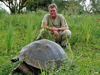 Giant Tortoise