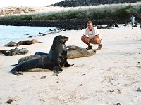 Sea Lion