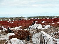 Galapagos Islands