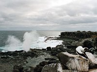 Galapagos Islands