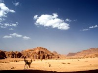 Wadi Rum Trekking