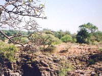 Cherangani Hills