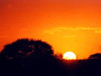 Sunrise at Lake Victoria