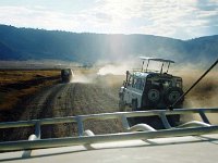 Ngorongoro Crater