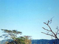 Ngorongoro Crater