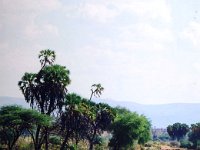 Samburu N.P.