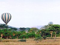 Serengeti N.P.