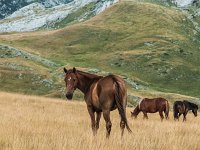 Montenegro