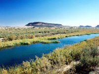 River in the Desert