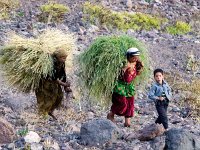 Farmer Women