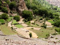 Agriculture in Tifnout Valley