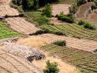 Agriculture in Tifnout Valley