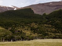 Views on Torres del Paine N.P.