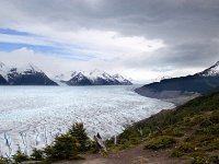 Grey Glacier