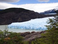 Grey Glacier