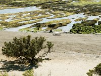 Peninsula Valdez