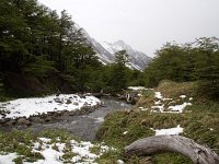 Tierra del Fuego N.P.