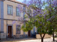 Silves, Algarve