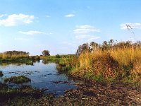 Okavango Delta