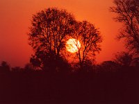 Okavango Delta Sunset