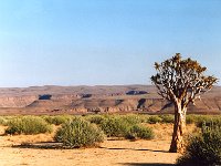 Fish River Canyon