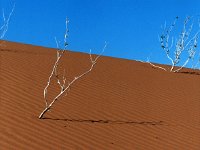 Sossusvlei