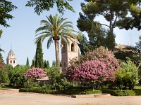 Alhambra (Granada)